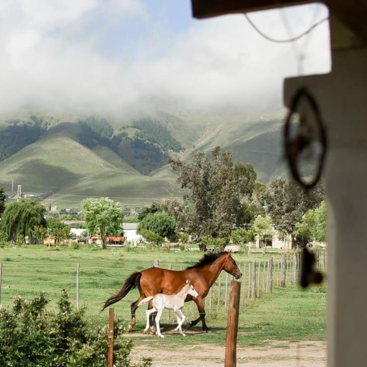 Entre Montanas Apartamento Tafí del Valle Exterior foto