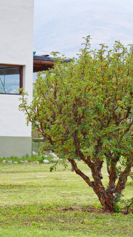 Entre Montanas Apartamento Tafí del Valle Exterior foto